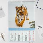 Календарь перекидной на ригеле "Тигрята" 2022 год, 320х480 мм - Фото 2