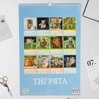 Календарь перекидной на ригеле "Тигрята" 2022 год, 320х480 мм - Фото 3