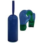 Набор для бокса детский №1 IDEAL: перчатки + груша, цвета МИКС - Фото 6