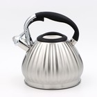 Чайник со свистком из нержавеющей стали «Ариве», 3,4 л, индукция - фото 9291836
