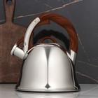 Чайник из нержавеющей стали со свистком «Труа», 3 л, индукция - фото 9291840