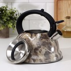 Чайник из нержавеющей стали со свистком «Мрамор», 2,6 л, индукция, цвет МИКС - Фото 2