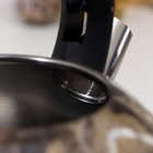 Чайник из нержавеющей стали со свистком «Мрамор», 2,6 л, индукция, цвет МИКС - Фото 3