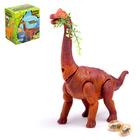 Динозавр «Брахиозавр травоядный», работает от батареек, откладывает яйца, с проектором, цвет коричневый - фото 6431780