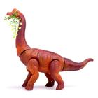 Динозавр «Брахиозавр травоядный», работает от батареек, откладывает яйца, с проектором, цвет коричневый - Фото 2