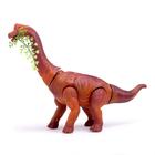 Динозавр «Брахиозавр травоядный», работает от батареек, откладывает яйца, с проектором, цвет коричневый - фото 6431782
