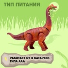 Динозавр «Брахиозавр травоядный», работает от батареек, откладывает яйца, с проектором, цвет коричневый - Фото 4