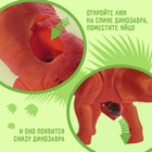 Динозавр «Брахиозавр травоядный», работает от батареек, откладывает яйца, с проектором, цвет коричневый - Фото 5