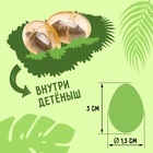 Динозавр «Брахиозавр травоядный», работает от батареек, откладывает яйца, с проектором, цвет коричневый - Фото 6