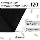 Материал для ландшафтных работ, 20 × 0,8 м, плотность 120 г/м², спанбонд с УФ-стабилизатором, чёрный, Greengo, Эконом 30% 5864806 - фото 10647912