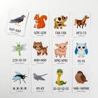 Развивающий набор 6 в 1 «Запуск речи» для комплексного развития, 0+ - Фото 10