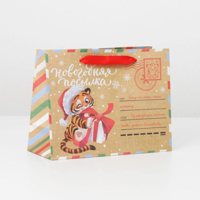Пакет крафтовый горизонтальный «Новогодняя почта», MS 23 × 18 × 10 см - Фото 1