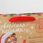 Пакет крафтовый горизонтальный «Новогодняя почта», MS 23 × 18 × 10 см - Фото 4