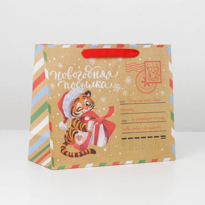 Пакет крафтовый горизонтальный «Новогодняя почта», ML 27 × 23 × 11.5 см - Фото 1