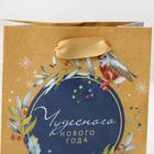 Пакет подарочный новогодний крафтовый горизонтальный вертикальный «Уютного Нового года», S 15 х 12 х 5.5 см - Фото 4