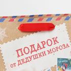 Пакет подарочный новогодний крафтовый вертикальный «Подарок от Деда мороза», ML 23 х 27 х 11.5 см - Фото 4