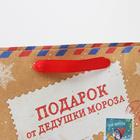 Пакет подарочный новогодний крафтовый вертикальный «Подарок от Деда мороза», M 26 х 30 х 9 см 6436270 - фото 1660365