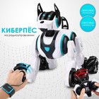 Робот-собака «Киберпёс», световые и звуковые эффекты, работает от аккумулятора, цвет белый - фото 638633