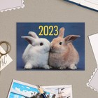 Карманный календарь "Символ года - 5" 2023 год, 7х10см, МИКС - Фото 5