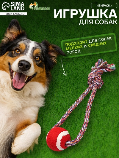 Игрушка канатная «Вираж», с мячом, до 135 г, до 37 см, цвет МИКС