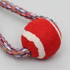 Игрушка канатная "Вираж" с мячом, до 135 г, до 37 см, микс цветов - Фото 4