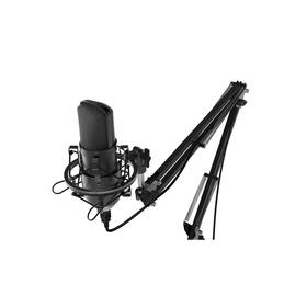Микрофон RITMIX RDM-169, 30-20000 Гц, USB, 1.5 м, черный