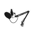 Микрофон RITMIX RDM-169, 30-20000 Гц, USB, 1.5 м, черный - Фото 2