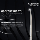 Ножницы маникюрные «Premium», загнутые, широкие, 9 см, на блистере, цвет серебристый - Фото 2