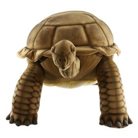 Галапагосская черепаха, 145 см