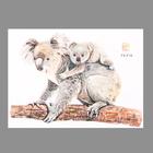 Наклейка пластик интерьерная цветная "Коала с детёнышем" 28х39 см - фото 61537251