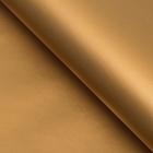 Бумага перламутровая, золотая, 0,5 х 0,7 м, 2 листа - Фото 5