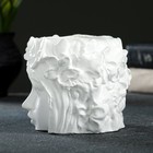 Декоративный горшок «Лицо девушки», гипс, 350 мл, 12×10×12 см, белый - Фото 11