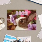 Карманный календарь "Символ года - 8" 2023 год, 7х10см, МИКС - Фото 5