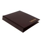 Альбом для монет на кольцах, формат Оптима 230×265 мм Calligrata, входит до 20 листов, обложка ПВХ, коричневый - Фото 2