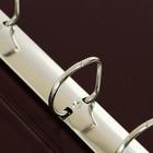 Альбом для монет на кольцах, формат Оптима 230×265 мм Calligrata, входит до 20 листов, обложка ПВХ, коричневый - Фото 4