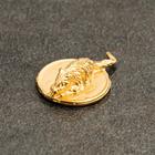 Сувенир кошельковый "Золотая Мышка на монете", олово, 0,6х2,2х1,6 см - Фото 2