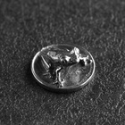 Сувенир кошельковый "Лягушка", олово, 2х2х0,5 см - Фото 4
