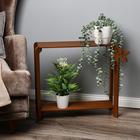 Подставка напольная для цветов «Клик Мебель. Флора», 2 полки, 490×590×230 мм, цвет орех - Фото 4