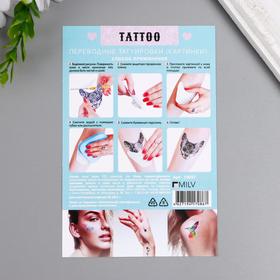 Татуировки переводные «Дамы на фруктах», 10×15 см, 18+