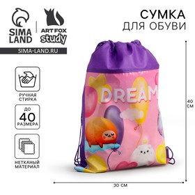 Сумка для обуви «Dreams», размер 41х30х0,5 см