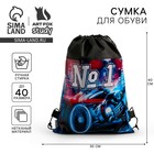 Сумка для обуви «Мотоцикл», 41х30х0,5 см - фото 9298576