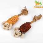 Игрушка мягкая для собак «Пёс» с пищалкой и канатом, 39×11 см, коричневая - Фото 1