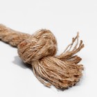 Игрушка мягкая для собак «Пёс» с пищалкой и канатом, 39×11 см, коричневая - Фото 4