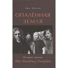 Опаленная земля. История группы The Smashing Pumpkins. Хэнсон Э. - фото 296052525