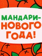 Ланч - бокс новогодний «Мандаринового года», 150 мл - Фото 6