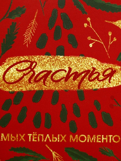 Ланч - бокс новогодний «Счастья», 500 мл