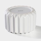 Банка для сыпучих Доляна «Золотой зайка», 600 мл, керамика, белая - Фото 4