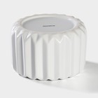 Банка для сыпучих Доляна «Золотой зайка», 600 мл, керамика, белая - Фото 4