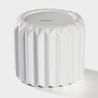 Банка для сыпучих Доляна «Золотой зайка», 900 мл, 12×18 см, керамика, белая - Фото 4