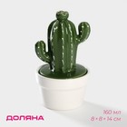 Банка для хранения сыпучих продуктов Доляна «Кактус», 160 мл, 8×8×14 см, керамическая - Фото 1
